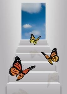 Butterflies.Stairway