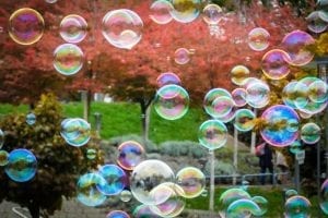 Soap Bubbles